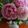 プリプリしてるといかんよ。という話。