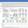 16S rRNA OTUピッキングと視覚化を行うデータベース  OTUX