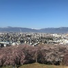 初サイクリング ～松本市内 桜の名所めぐり～