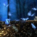 考えるブログ🦋