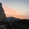 梅雨明けて！熱中症情報！！