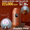 【購入品ご紹介】popIn Aladdin：Aladdin Vase