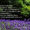 こころの道しるべ（171）そばにある幸せ