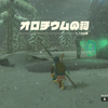 【ゼルダティアキン】＃１５　忘れ去られた神殿を目指して…キウヨヨウの祠とオロチウムの祠　