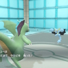 【ポケモンSVシングル】火 炎 玉 カ イ リ ュ ー