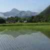 梅雨・・・この時期