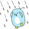 走り梅雨（はしりつゆ）