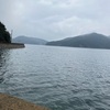 マメゾウの野望