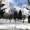 札幌市の町内会主導によるパートナーシップ排雪はそろそろ限界かもしれない