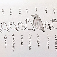 セキレイとは 動植物の人気 最新記事を集めました はてな