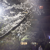 ロシアレンズと夜桜