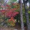 駒ケ根高原の紅葉散歩