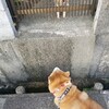 さあ、いろいろ洗いますよ～！