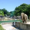 愛知県岡崎市　岡崎市東公園動物園