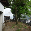 地元八幡神社、木々の枝払い実施しました。