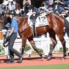 次走では岩田望Ｊに手が戻り、２４日の阪神・ダ１２００ｍへ向かいます。☆イルデレーヴ