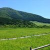 【箱根】仙石原方面に行くなら湿生花園がなかなかおすすめ