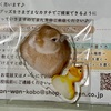ペットのアクスタ