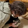 猫活