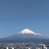 サクラサク🌸
