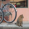 自転車のチェーン交換