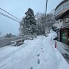 春の雪三回滑って高尾山