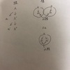 レポートの書き方