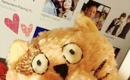記事を見る