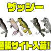 【ムカイ】可愛いデザインのアザラシルアー「ザッシー」通販サイト入荷！