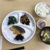 #霧ヶ峰研修④