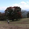 山清路-大峰高原-大町 (100km)