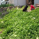 日本に健康な人って、何人     いるんだろう？