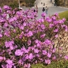 3月26日　梨花女子大学に