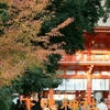 京都・下鴨神社～修学旅行をもう一度
