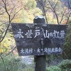 奥秩父_中津峡_紅葉(埼玉県秩父市)