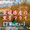 やましろやのお惣菜『愛媛県産の里芋フライ』は具沢山で野菜の力を感じました【丁寧レビュー】