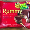 これが本当のリニューアル！2020年のラミーチョコアイスを食べました！幸せです！