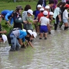 5年生　田植え