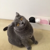 ベルトクイズq Q 真梨幸子mariyukiko S Blog ベルトクイズq Q 真梨幸子mariyukiko S Blog