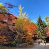 初訪問!! 札幌の紅葉穴場スポットへ