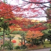 海藏山  龍雲寺の紅葉など ⑥ （島根県浜田市）