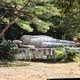 ハニベ巌窟院「大涅槃像」