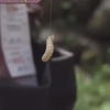 釣りエサの恐怖。
