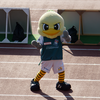 2025年3月1日　SC相模原vs鹿児島ユナイテッドFC　＠相模原ギオンスタジアム