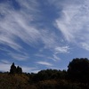 里山の空