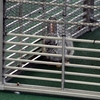うさぎさん　外にいますが冷房装置あり　いいね