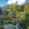 The Butchart Gardens