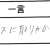 第20回合宿 感想