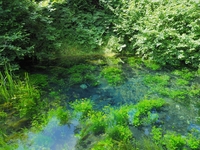 緑青の生出湧水で涼をとる