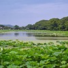 湖水ヶ池は子見ず池